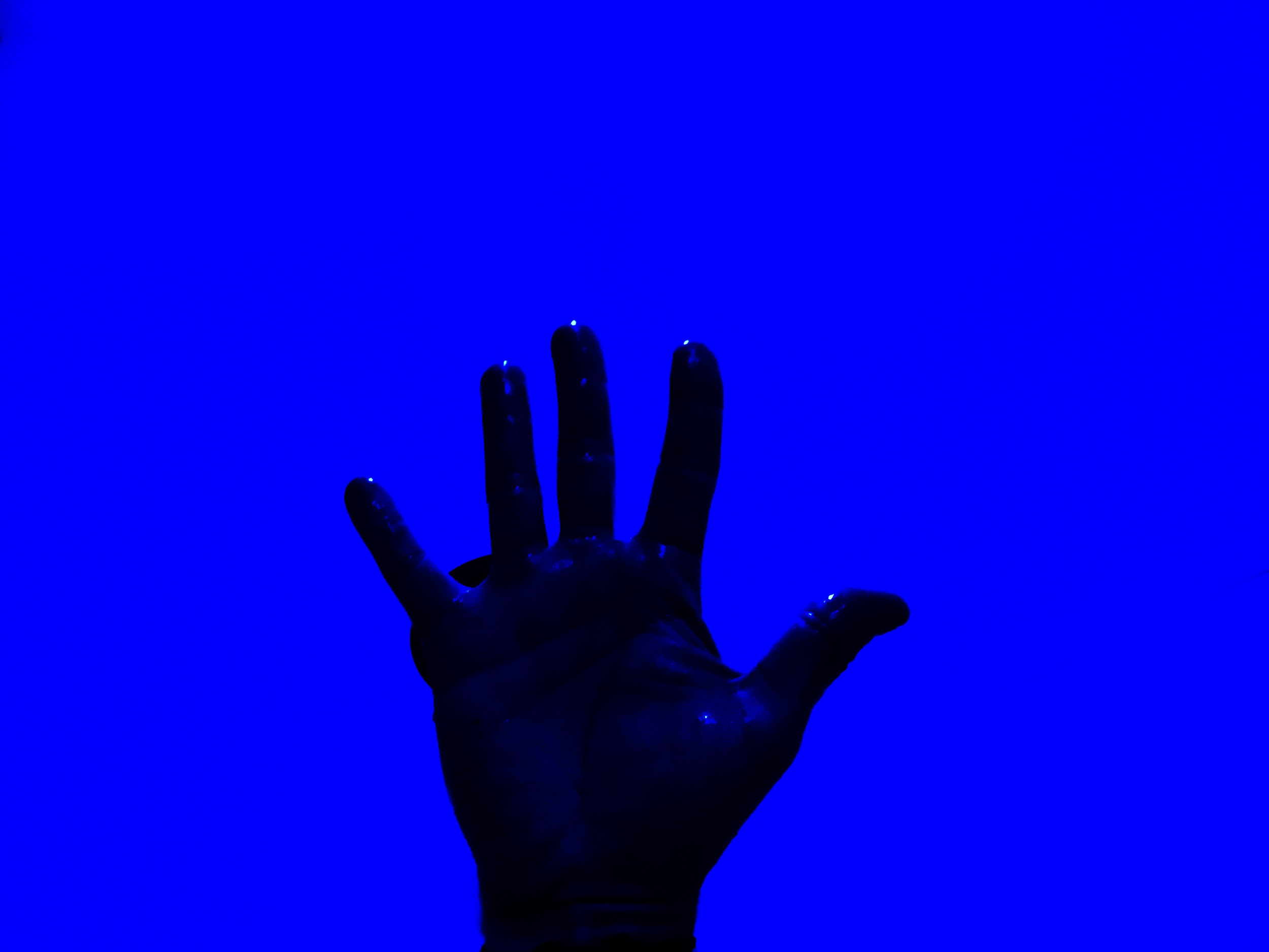 Conceptual-16